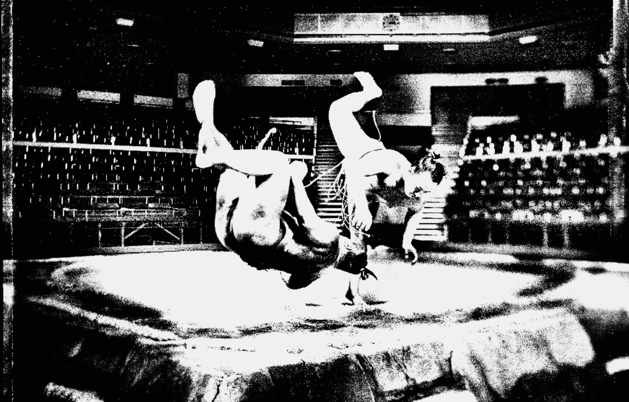 SUMO 写真集　Tomasz GUDZOWATY Amazon.com: Tomasz Gudzowaty: Sumo: 9783775751957: Gudzowaty